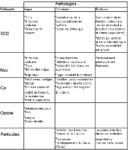 effets des polluants et de la pollution sur la santé humaine