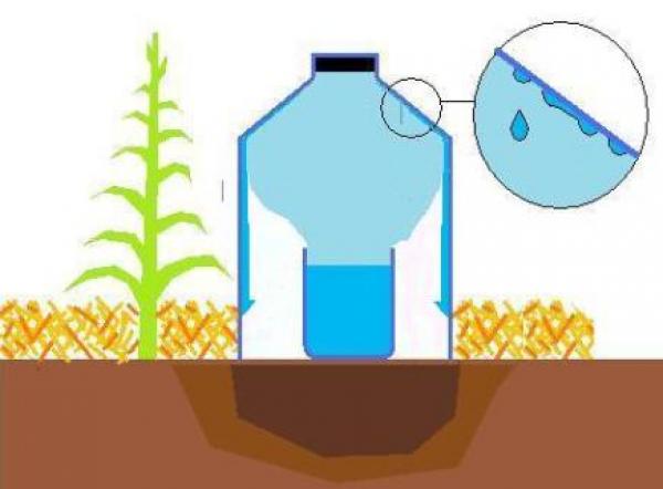 irrigation-solaire-condensation.jpg