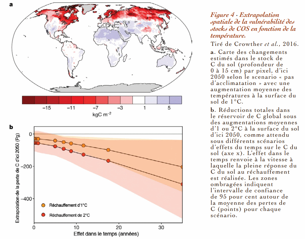 carboneT°.gif