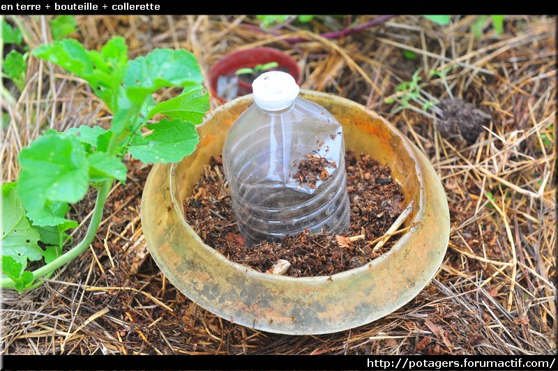 en terre + bouteille + collerette.JPG