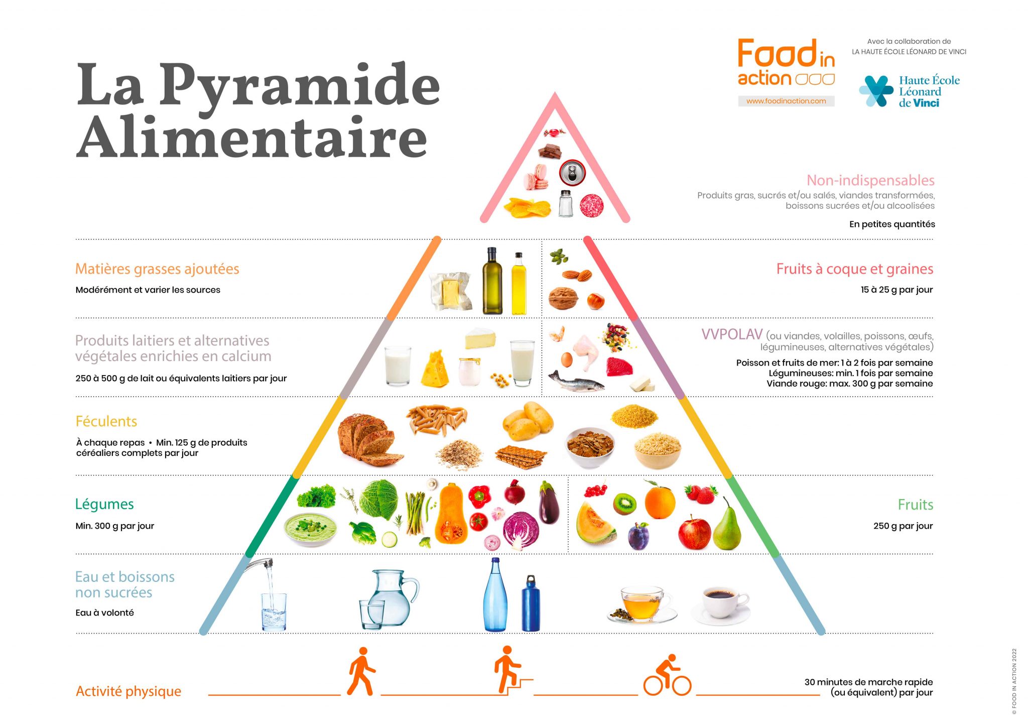 pyramide-alimentaire-2020-familles-recommandations-alimentaires-2048x1448.jpg