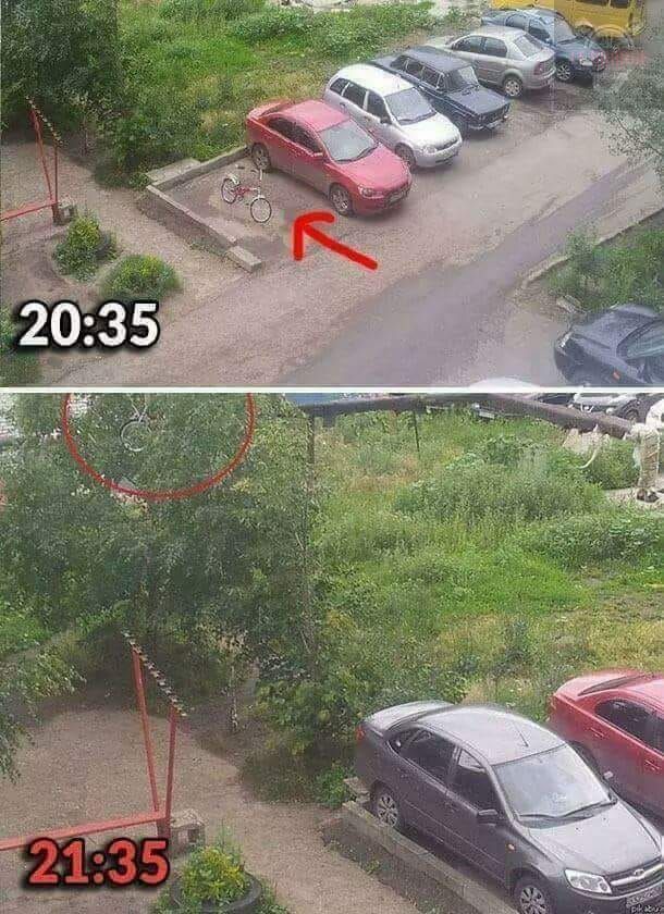 vélo vs voiture.jpg