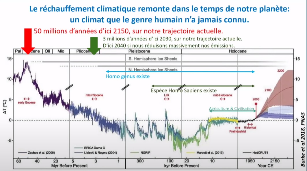 climat 50Ma.jpg