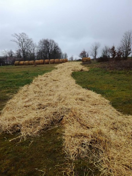 Jardin maraicher 2 foin déroulé.jpg