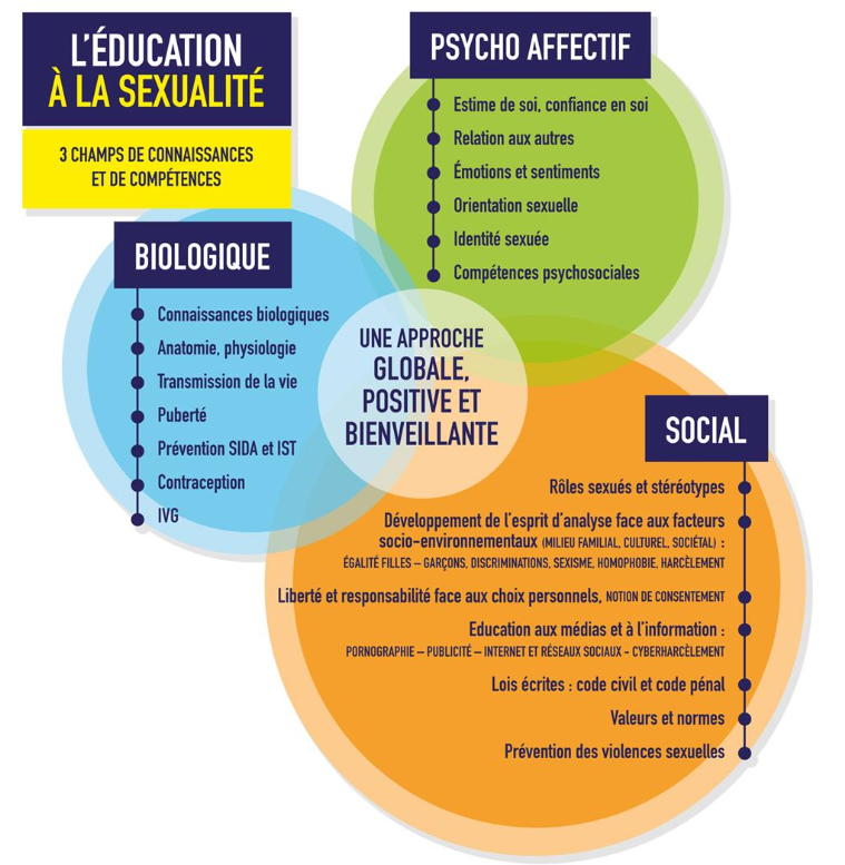 Screenshot 2024-12-03 at 15-37-17 infographie_education_sexuelle_737367_798683.pdf.png