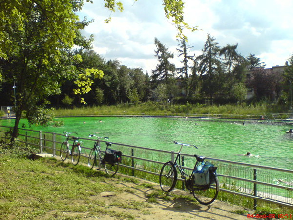 piscine-ecologique-pic537.jpg