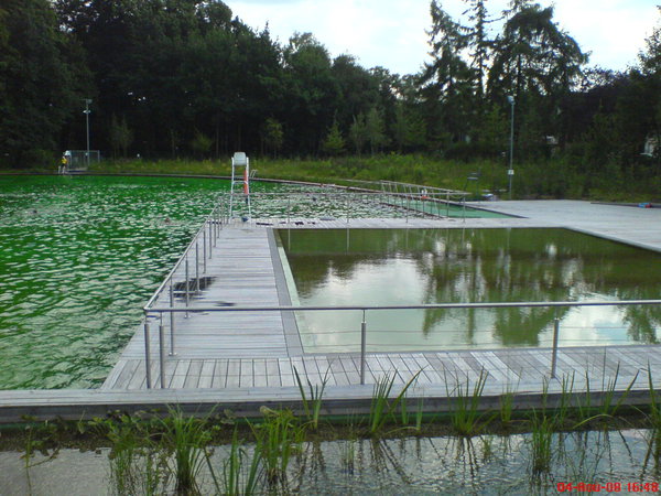 piscine-ecologique-pic536.jpg