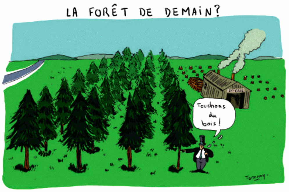 foretDemain.gif